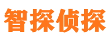 眉县市私家侦探